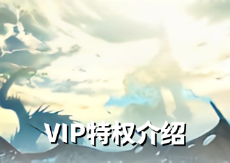 VIP特权介绍